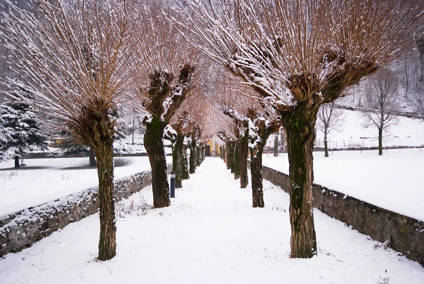 Viale della Rimembranza