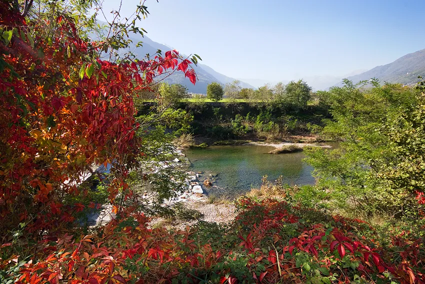 Torrente Bitto